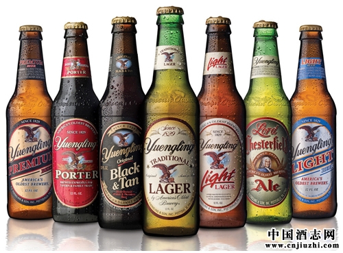 啤酒有哪些種類,又各有什么區(qū)別和優(yōu)缺點(diǎn)?