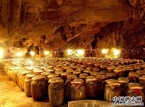 固態(tài)發(fā)酵和液態(tài)發(fā)酵的區(qū)別是什么呢