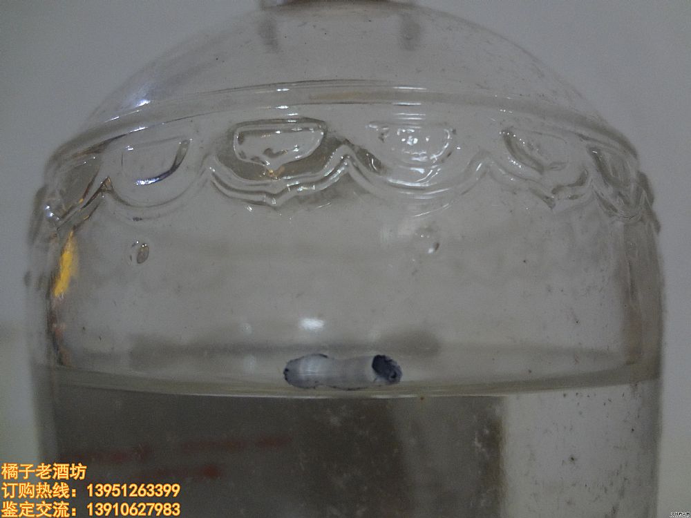 2005 56 ZҺϾһ